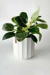 Ceramic Bevelled Planter