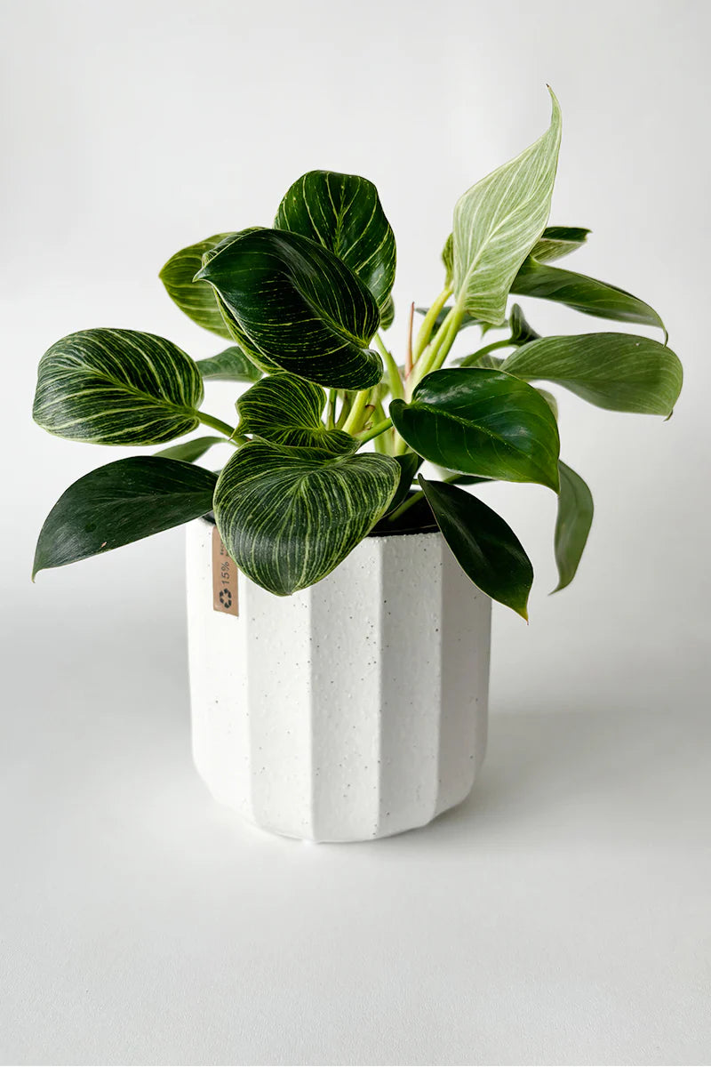 Ceramic Bevelled Planter