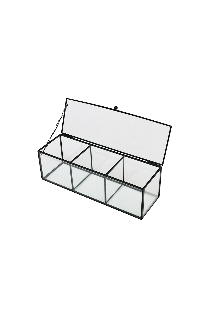 Glass Display Box (3 Compartments) Hall Concept Store