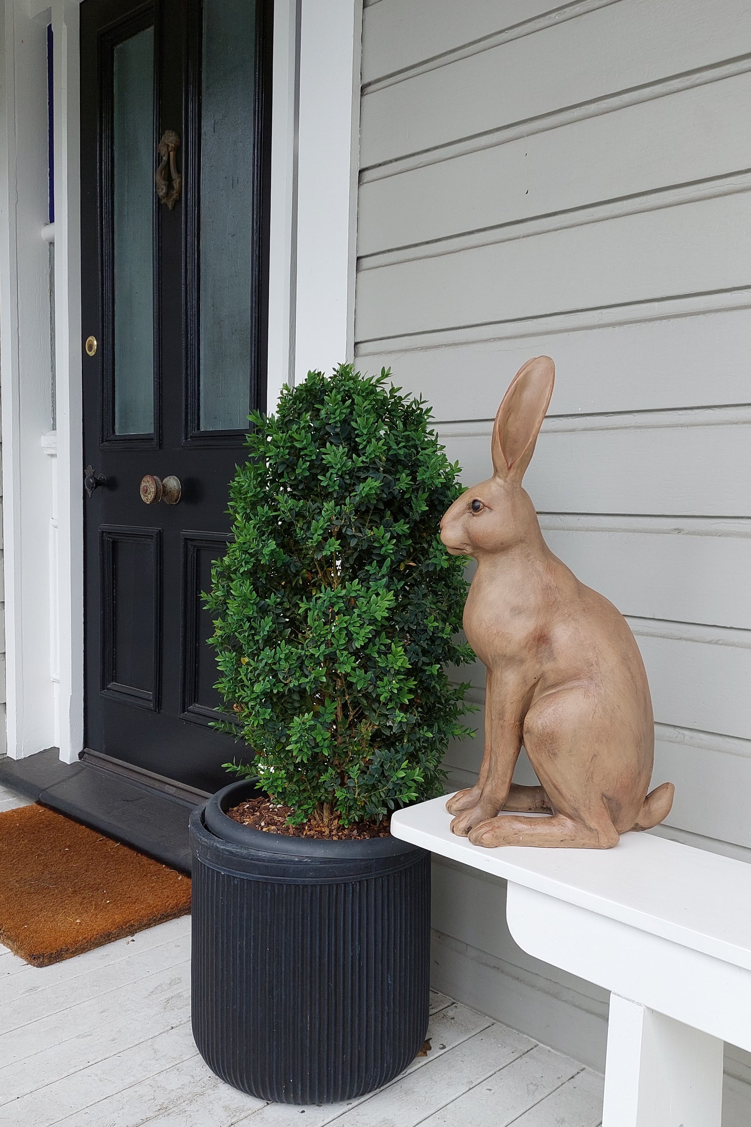 Harold The Hare | Brown