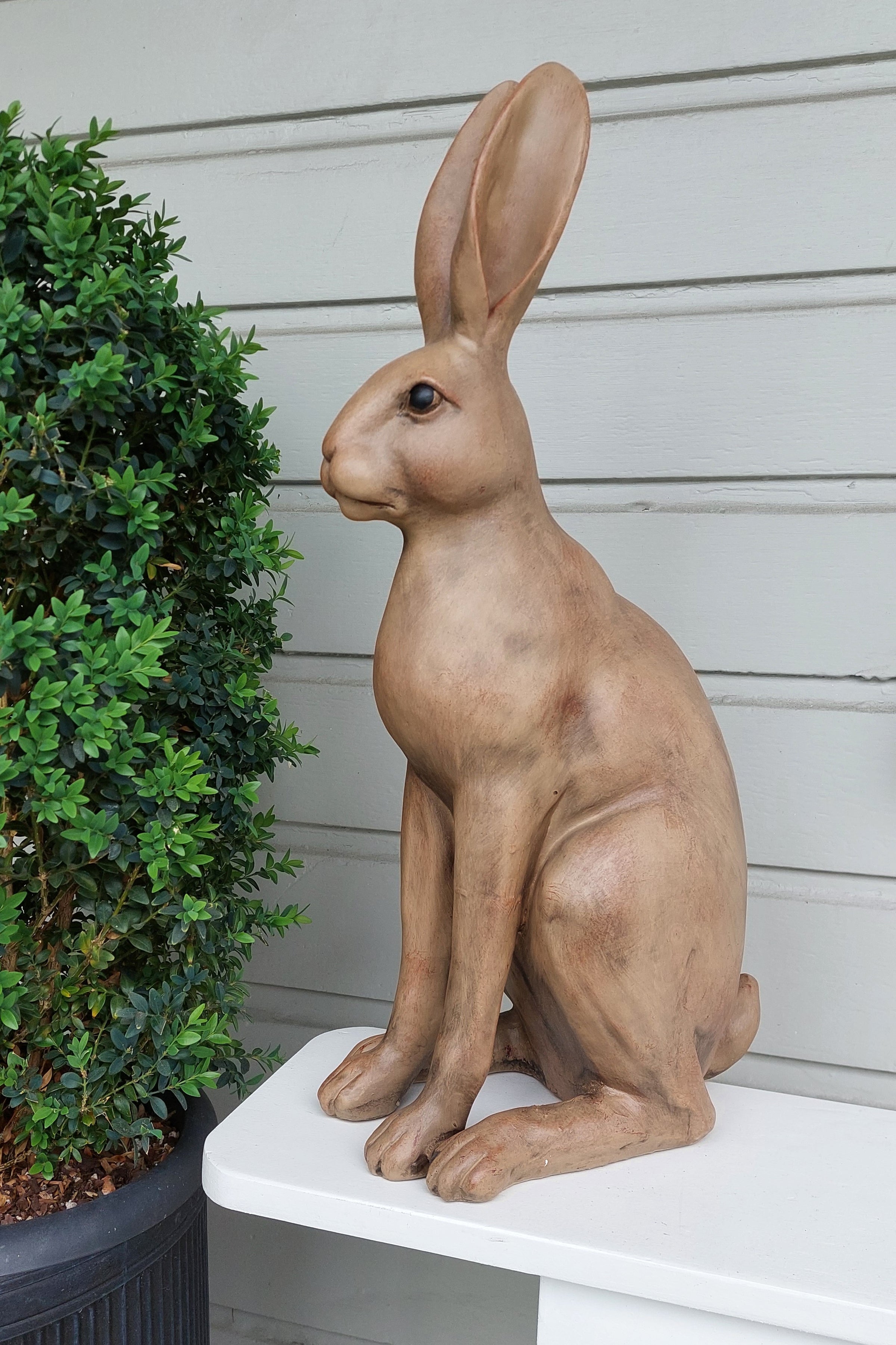 Harold The Hare | Brown