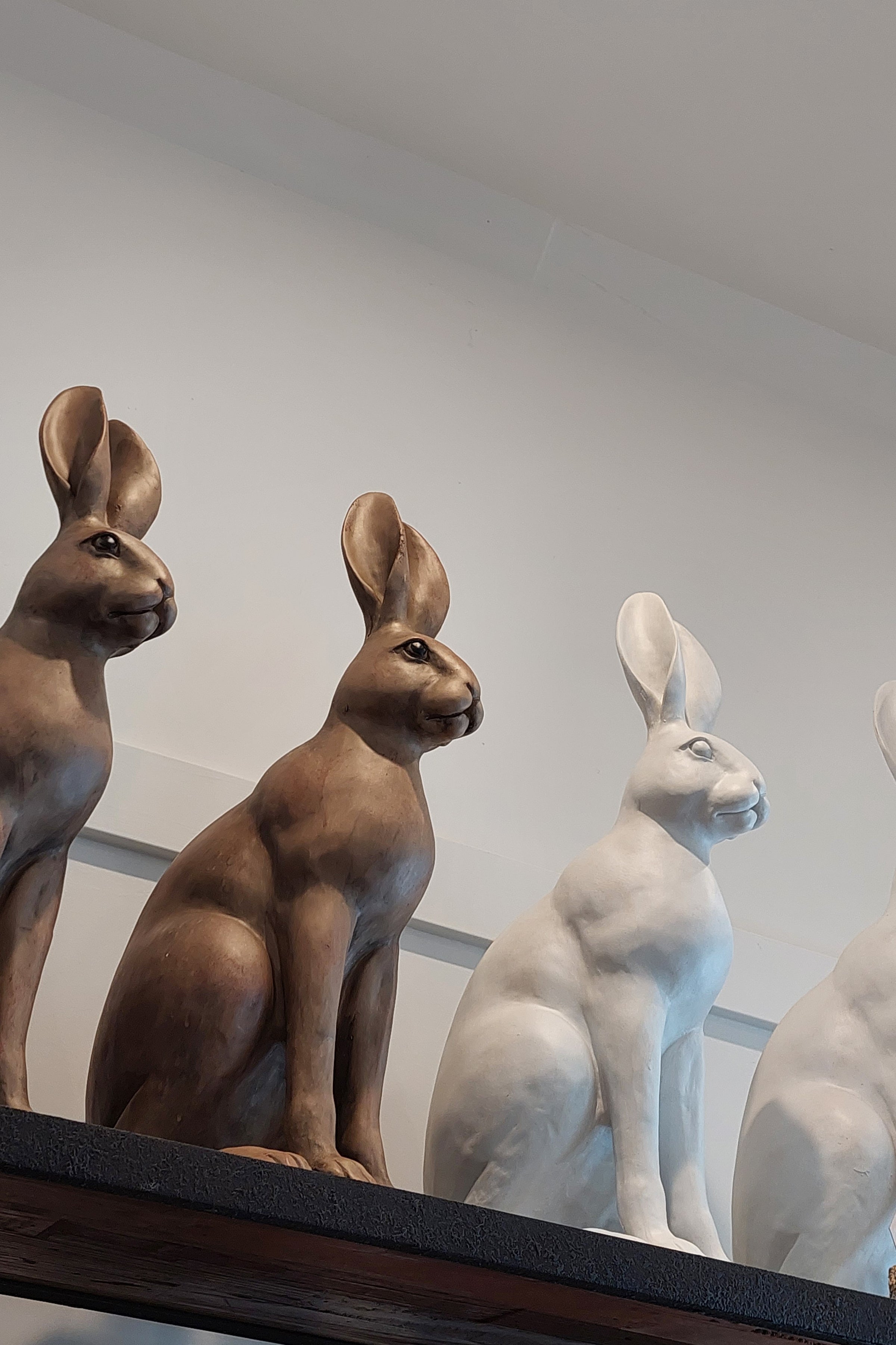 Harold The Hare | Brown