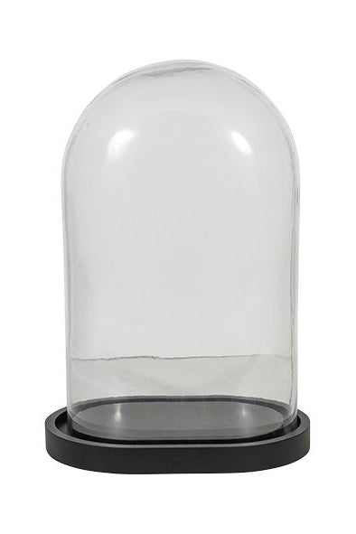 Glass Cloche | Oval