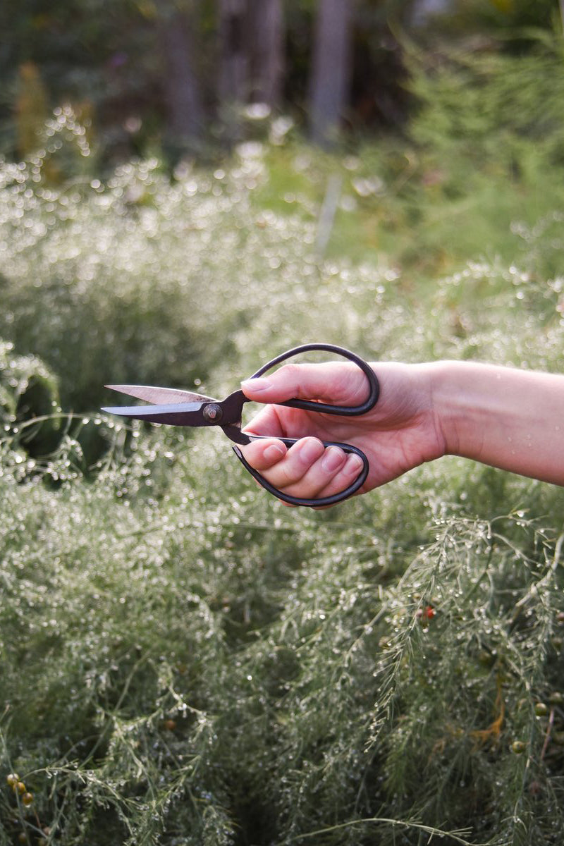 Iron Herb Scissors