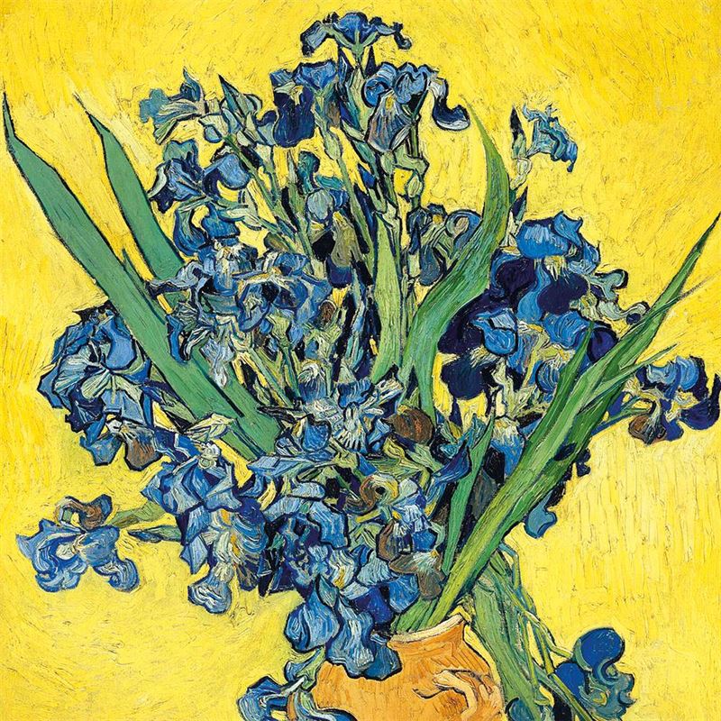 Notecards 20 Pack | Vincent Van Gogh