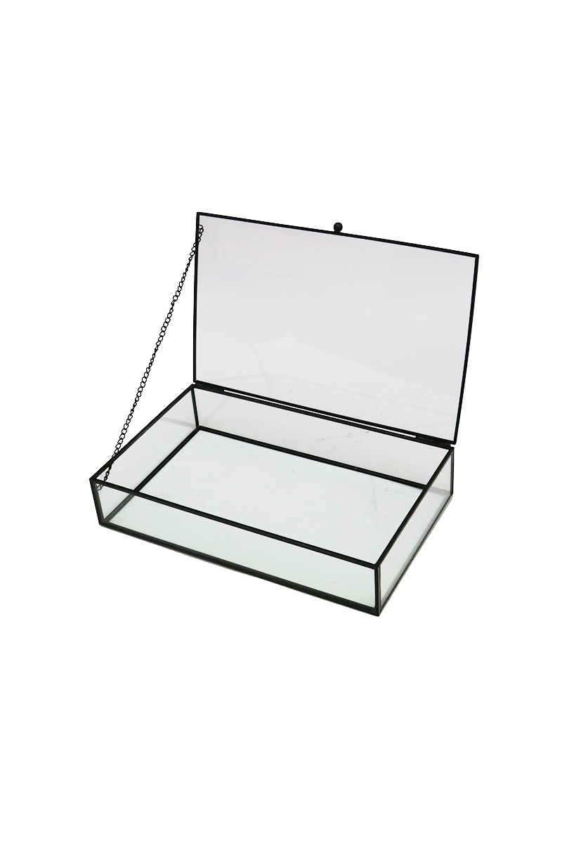 Glass Display Box | 25 x 5cm