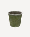 Evergreen Planter Pot