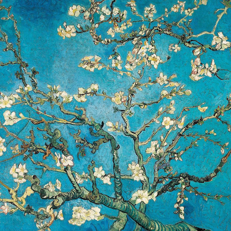 Notecards 20 Pack | Vincent Van Gogh