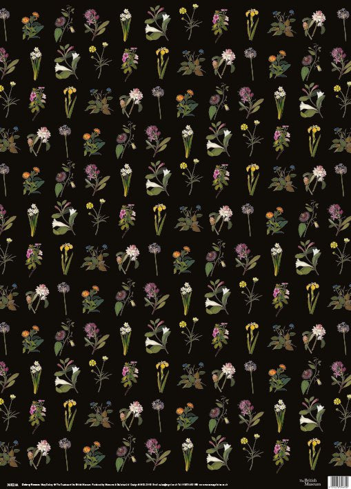 Wrapping Paper | Delany Flowers