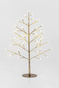 Fairy Light Christmas Tree | Champagne