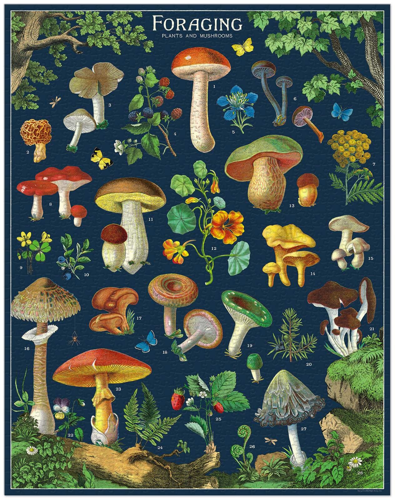 Vintage Puzzle Foraging 1000pcs.