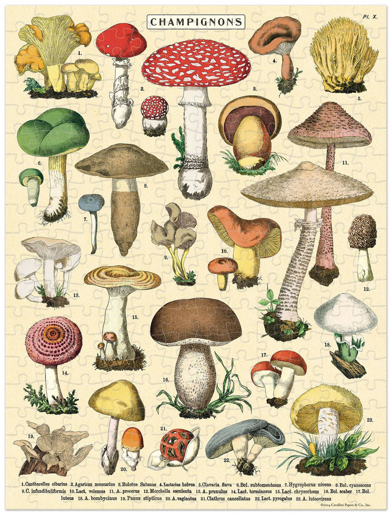 Vintage Puzzle Mushrooms 240pcs.