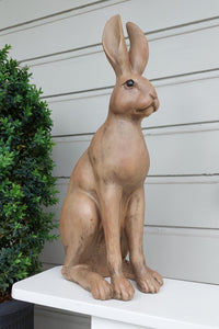 Harold The Hare | Brown