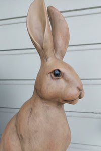 Harold The Hare | Brown