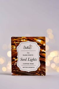 Seed Lights | 5M (Battery)