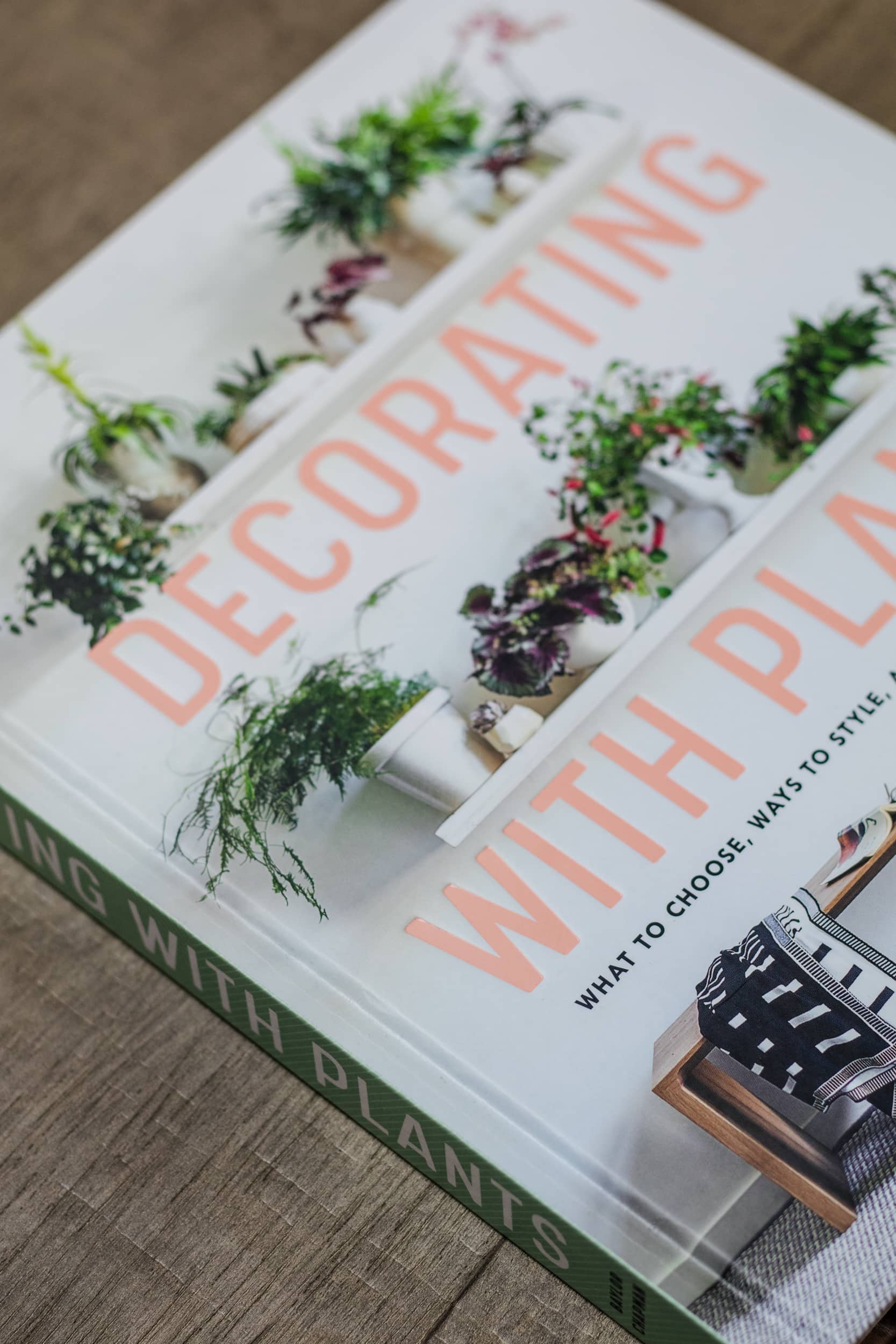 Decorating with Plants by Baylor Chapman
