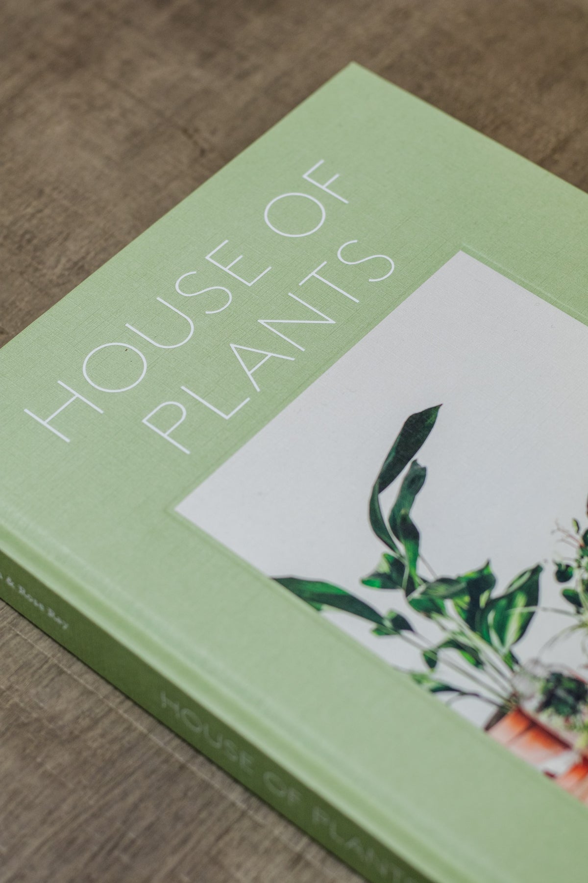 house of plants caro langton House of Plants – Hall Concept Store