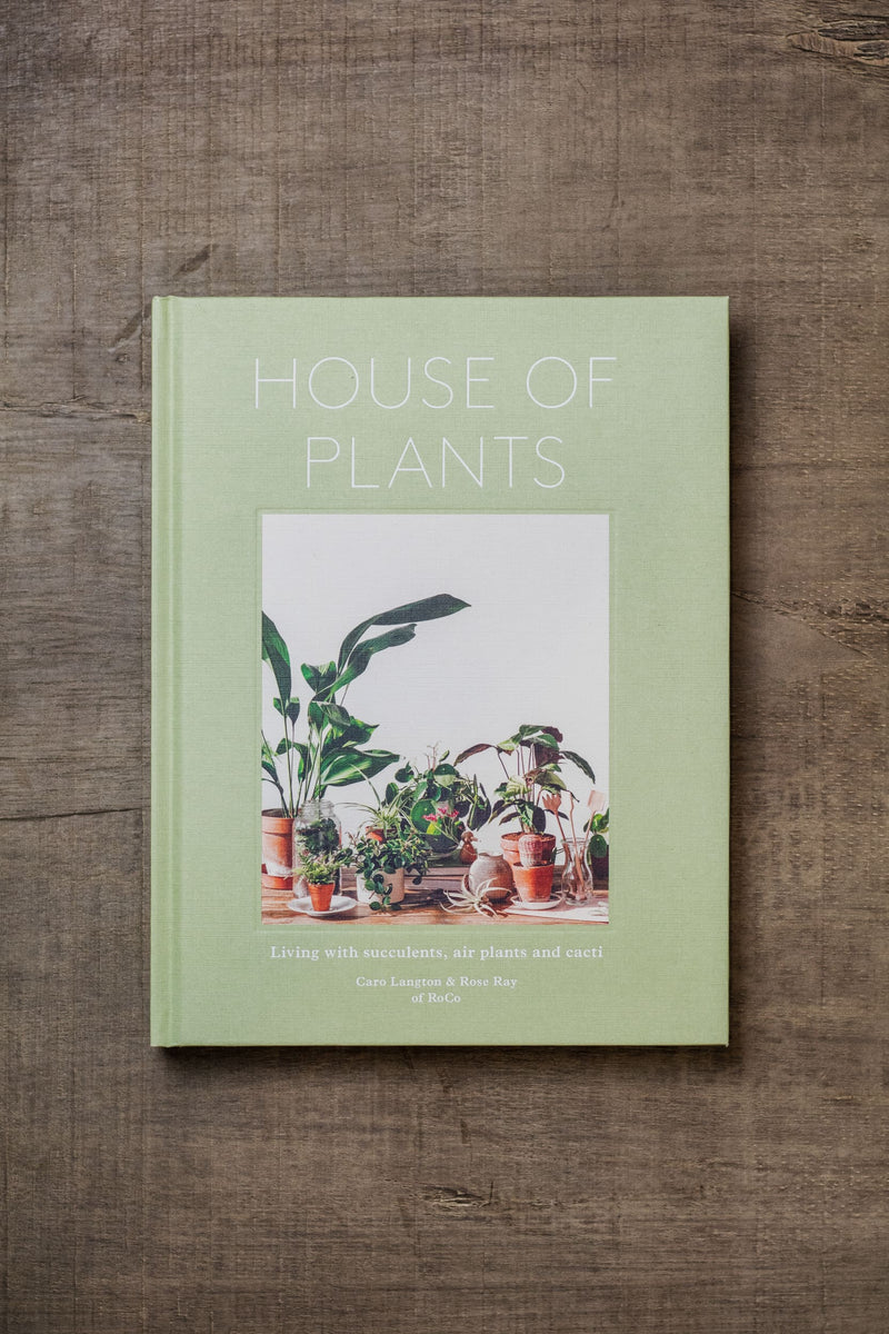 air plants book House of Plants – Hall Concept Store