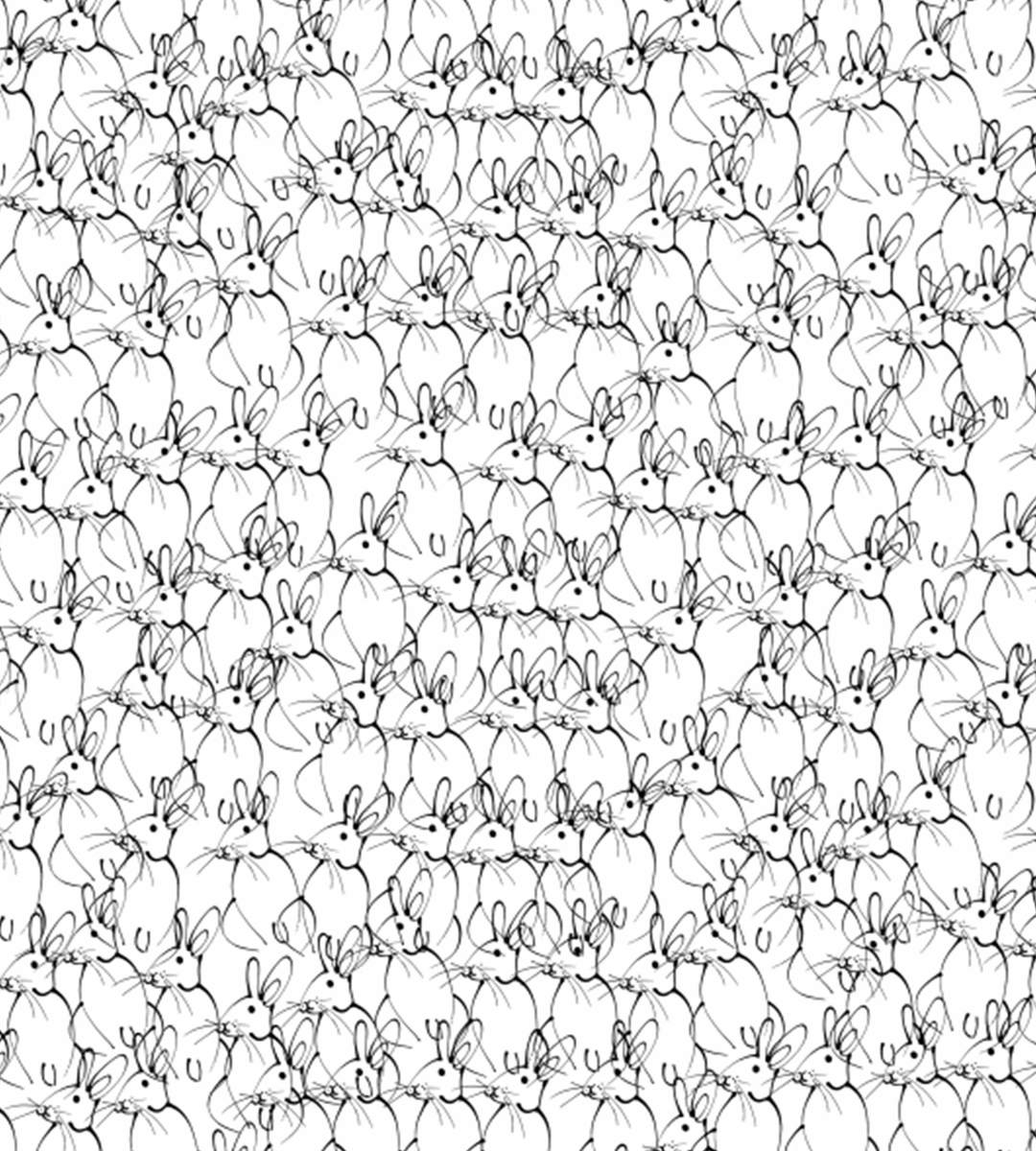 Wrapping Paper | Rabbit