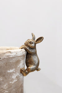 Hanging Bunny | Bronze