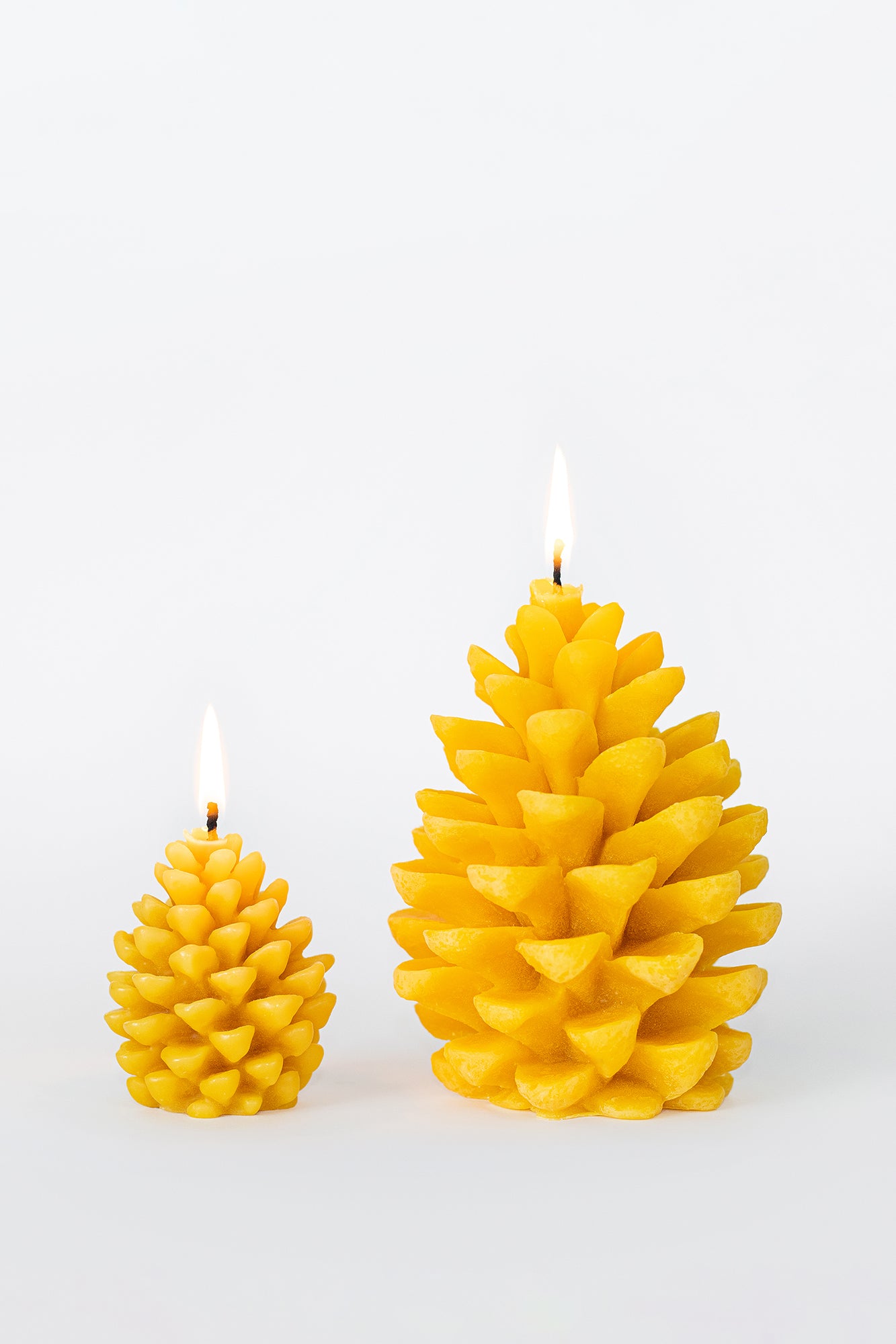 Beeswax Pinecone Candle